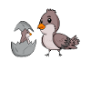 Famille d’oiseaux - Oiseau avec bébé