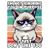 Sjov grump kat - jeg kan bare ikke lide dig kynisk
