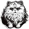 Cute Persian Cat