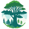 Tree of old