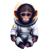 Monkey Astronaut