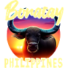 Boracay Philippines - Water Buffalo
