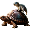 Dinosaur on turtle