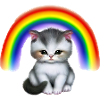 Bébé chat sous arc-en-ciel