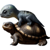 Dinosaur on turtle