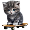 Skateboard kitten