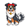 Australian Shepherd