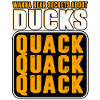 Ducks - Wanna Hear A Secret