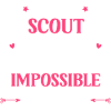 Super scout