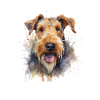 Airedale Terrier