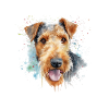 Airedale Terrier