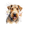 Airedale Terrier