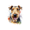 Airedale Terrier