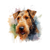 Airedale Terrier