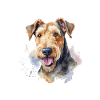Airedale Terrier
