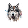Alaskan Malamute
