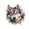 Alaskan Malamute