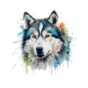 Alaskan Malamute