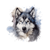 Alaskan Malamute
