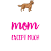 Bouvier australien Red Blue Heeler