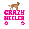 Bouvier australien Red Blue Heeler