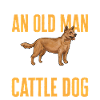 Bouvier australien Red Blue Heeler