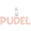 Hund Pudel