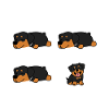 Hund Rottweiler