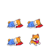 Hund Shiba Inu
