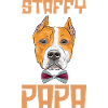Dog Staffy Papa