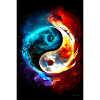 Yin Yang 5