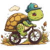 Tortoise Bicycle