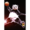 Basketball Dunk Panda