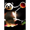 Basketball Dunk Panda