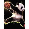 Basketball Dunk Panda