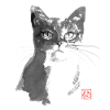 Mokka