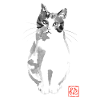 interrogative cat