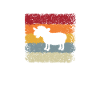 Schaaf Rétro