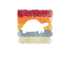 Turtle Retro