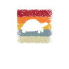 Turtle Retro