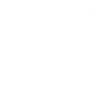 Original 100 % David