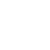 Original 100 % Dennis
