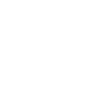 Original 100% Dustin