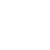 Original 100 % Diana
