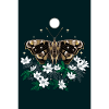 Moth moth with wood anemone