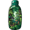 Jungle Bottle Drawing