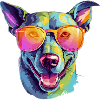 Dood the bespectacled dog