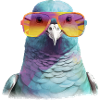 Laszlo le pigeon