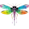 Mia the dragonfly
