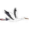 Stork